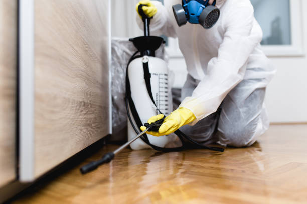 Best Best Pest Control Companies  in Newton, MS