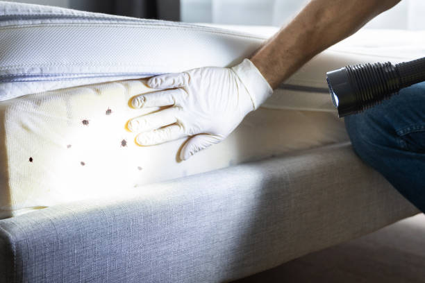 Best Commercial Pest Control Services  in Newton, MS