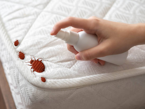 Best Residential Pest Control  in Newton, MS