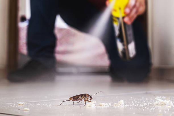Best Pest Prevention Services  in Newton, MS