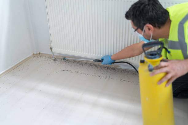 Best Local Pest Control Services  in Newton, MS