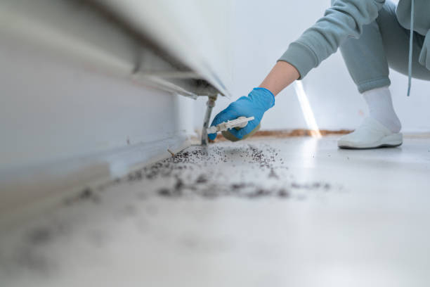 Best Pest Control Treatment  in Newton, MS